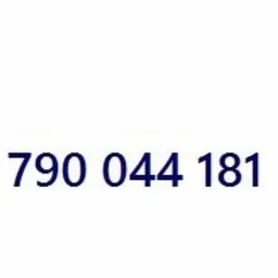 Doradca Biznesowy Sieci Play