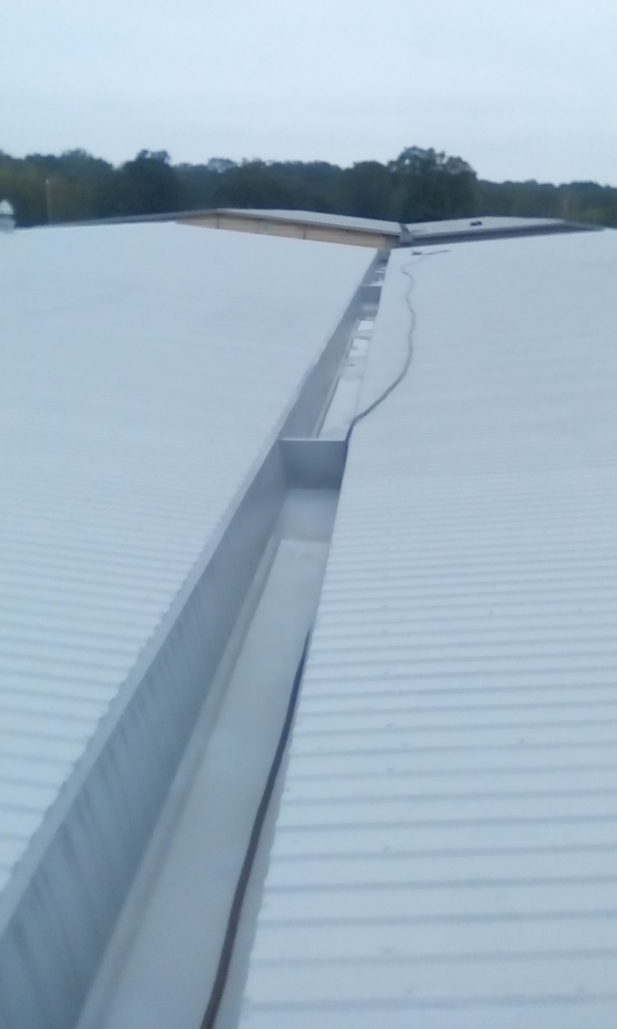 Nowe, jasnoszare krycie dachu z blachy trapezowej z widocznym systemem odprowadzania wody deszczowej w postaci wbudowanej rynny, na tle zalesionego terenu i pochmurnego nieba.