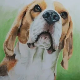 Portret psa rasy Beagle, namalowany pastelami na zielonym tle, z widocznymi detalami sierści i realistycznym wyrazem pyska.