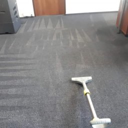 Czysta Panda Pranie Tapicerki Meblowej i Wykładzin - Wykładzina