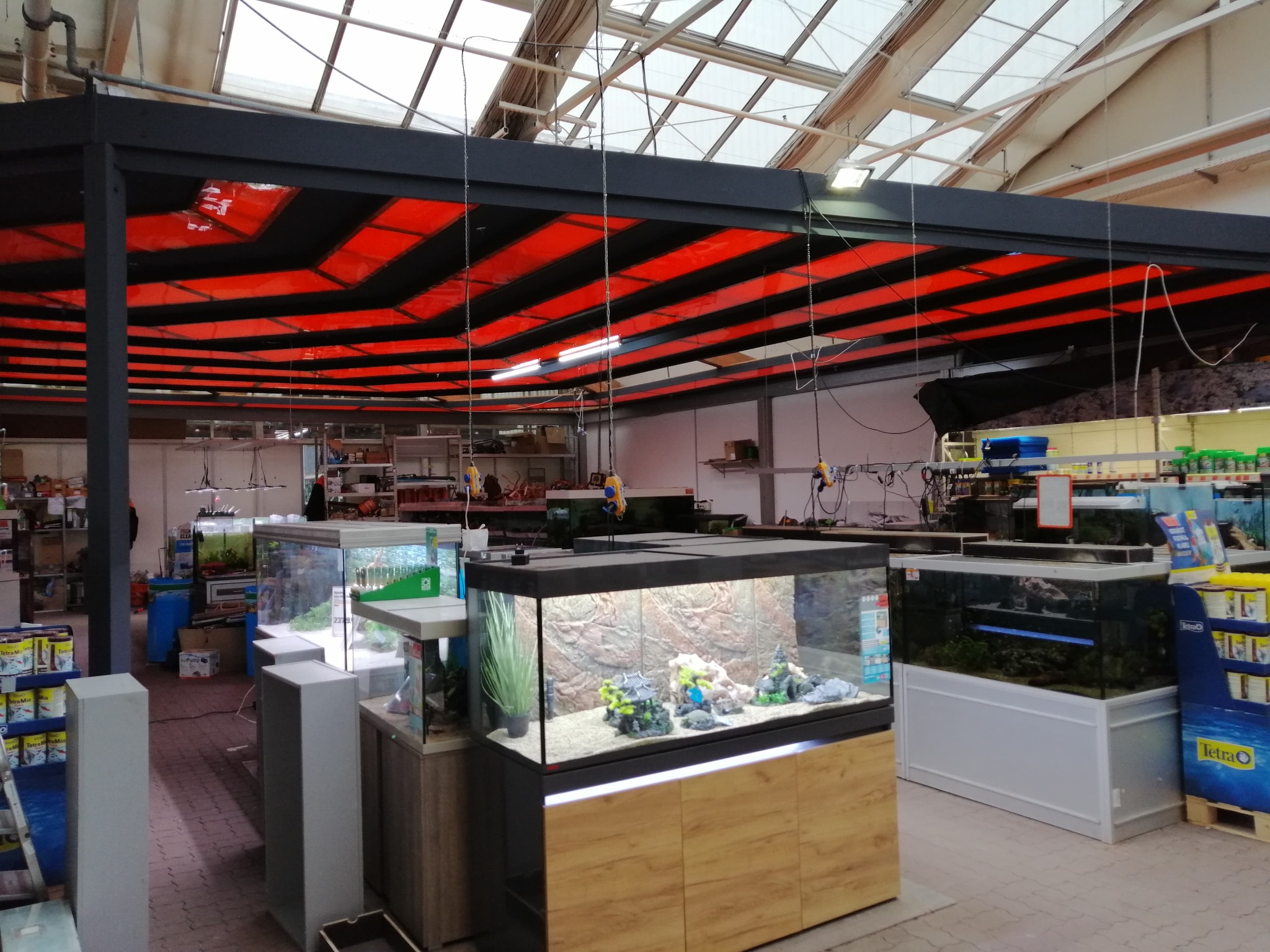Wnętrze sklepu zoologicznego z ekspozycją akwariów oświetlonych jarzeniówkami, z widoczną konstrukcją dachu z czerwonymi elementami.