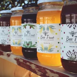 Rząd słoików z różnymi rodzajami miodu na drewnianej półce, etykiety z motywami roślinnymi i logo 'Bee True', różne barwy miodu od jasnego do ciemnego.