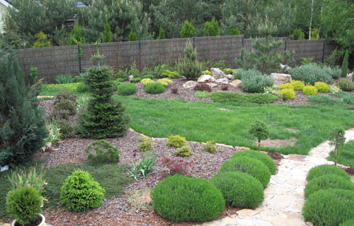 Ukształtowany ogród z trawnikiem, kamienną ścieżką i różnorodnymi roślinami ozdobnymi, w tym kulistymi krzewami i formowanymi drzewkami iglastymi, otoczony brązowym płotem z plecionki.