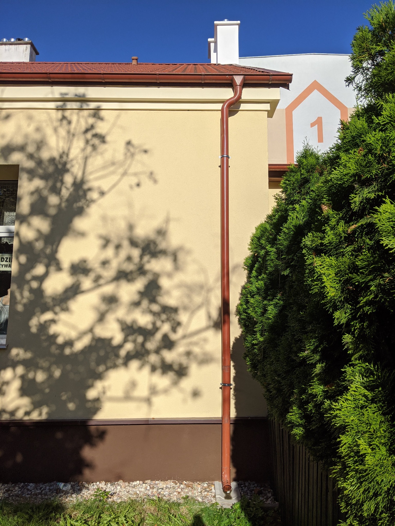 Elewacja budynku z brązową rynną spustową, cień drzewa na ścianie, obok roślina iglasta i budynek z numerem 1 w obrysie domu.