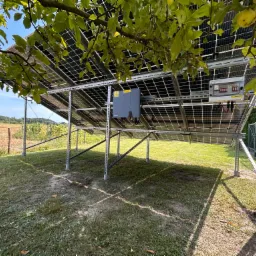 Instalacja paneli słonecznych na metalowej konstrukcji widziana od spodu, z widocznym inwerterem i licznikiem, częściowo przysłonięta gałęziami drzewa owocowego z owocami.