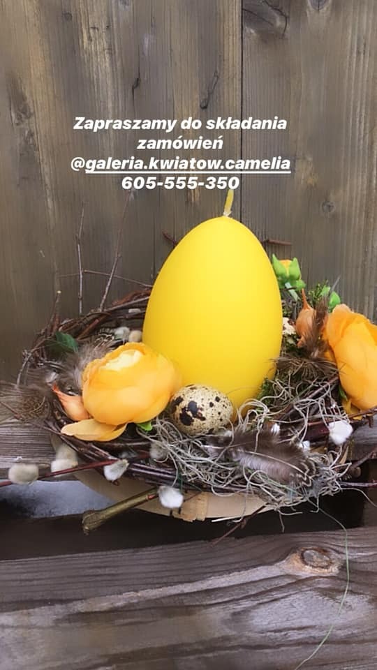 Kompozycja wielkanocna: żółta świeca w kształcie jajka, przepiórcze jajko, żółte kwiaty i piórka w gnieździe z gałązek na tle drewnianej ściany. Tekst 'Zapraszamy do składania zamówień @galeria.