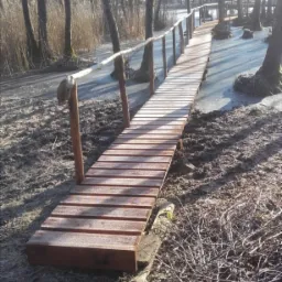 Drewniany pomost z barierkami, pokryty szronem, prowadzący przez zamarznięte bagno, otoczony drzewami bez liści w zimowy dzień.