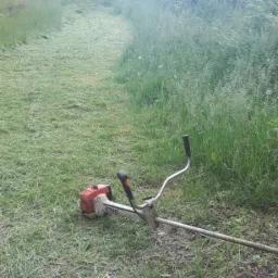 Świeżo skoszona trawa, widoczny pas zieleni po koszeniu, obok leży kosa spalinowa marki Stihl.