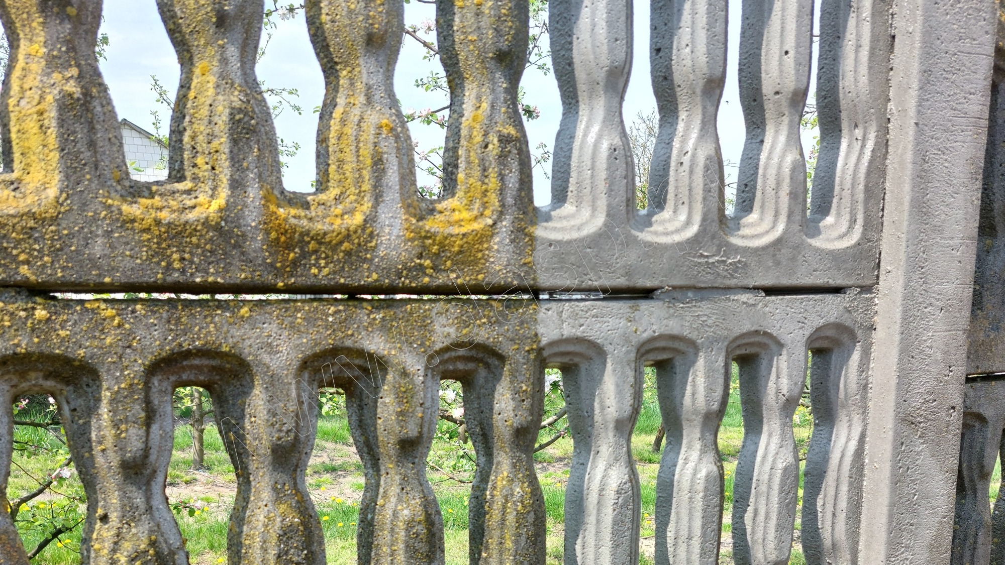 Betonowe ogrodzenie przed i po czyszczeniu, widoczna różnica w kolorze i usunięcie mchu oraz zabrudzeń.