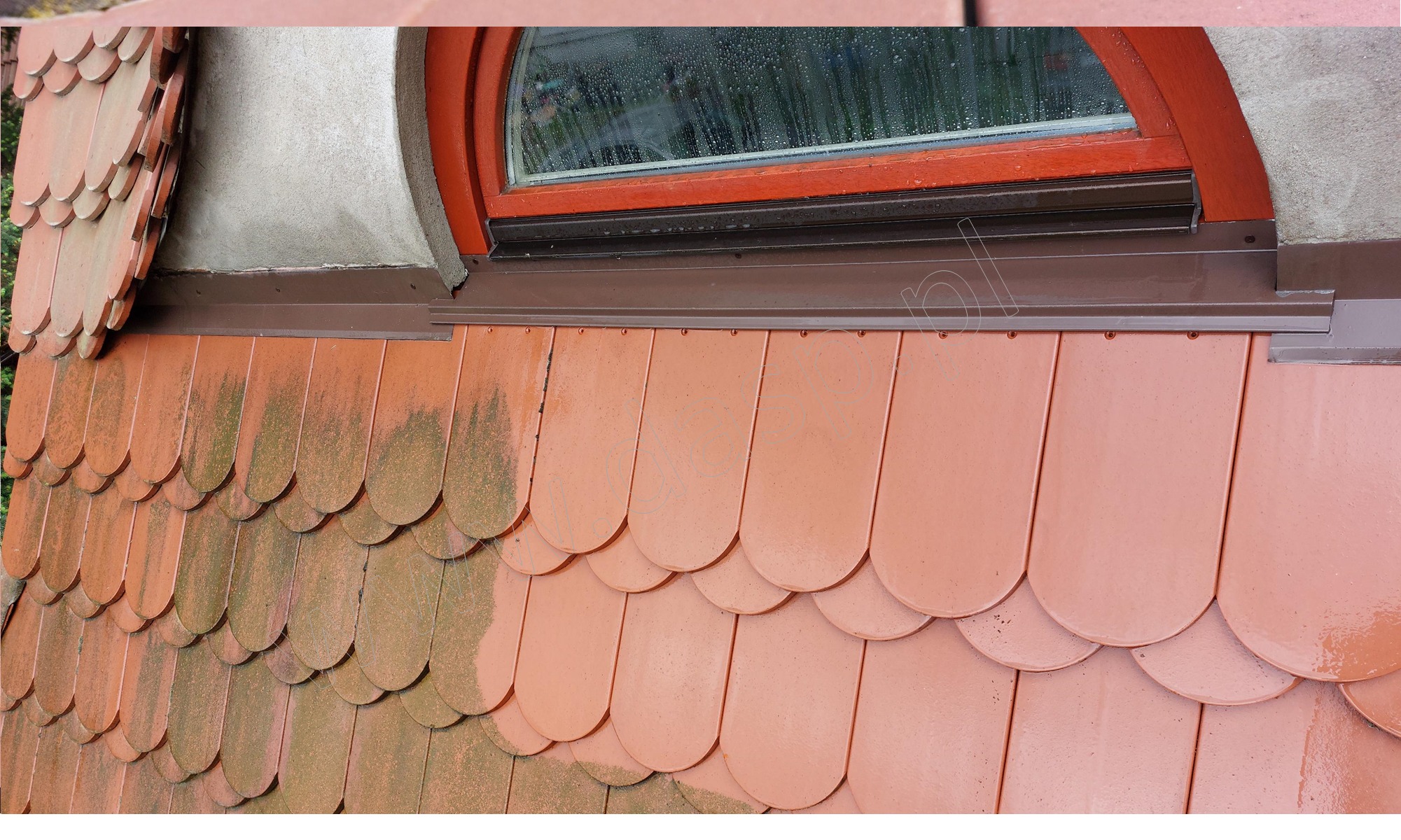 Częściowo wyczyszczony dach z dachówki ceramicznej, widoczna różnica między czystą a zabrudzoną powierzchnią, okno w dachu z kroplami deszczu.