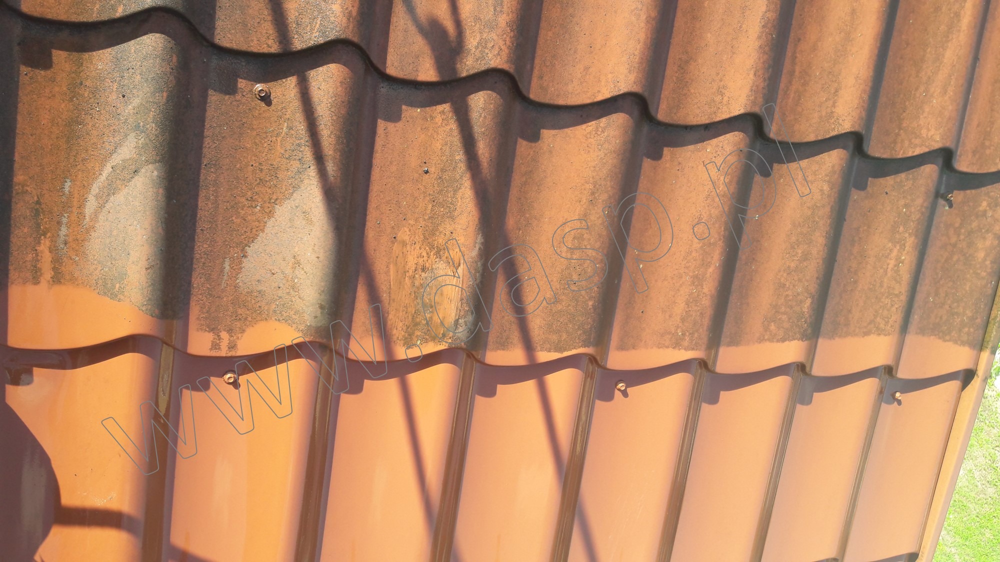 Częściowo oczyszczona, brudna, pomarańczowa dachówka ceramiczna, widoczne ślady mchu i zabrudzeń, fragment dachu po czyszczeniu.