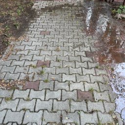 CDM COMPANY SP. Z O.O. - Mokry chodnik z kostki brukowej w Piasecznie, częściowo porośnięty trawą i zabrudzony ziemią, sugerujący potrzebę profesjonalnego czyszczenia.