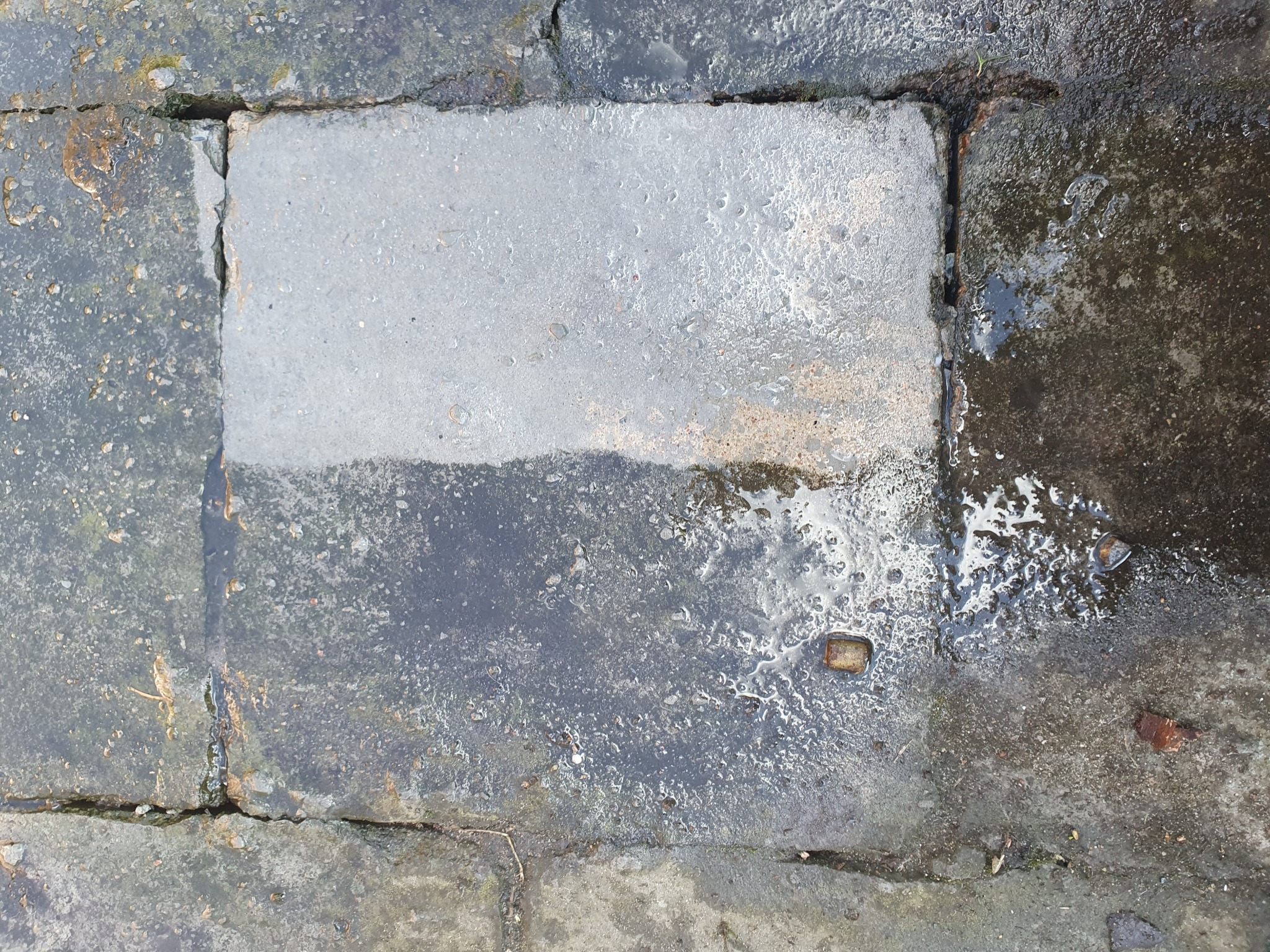 Mokre, ciemne kostki brukowe po deszczu, widoczne drobne kamienie i liście w szczelinach.