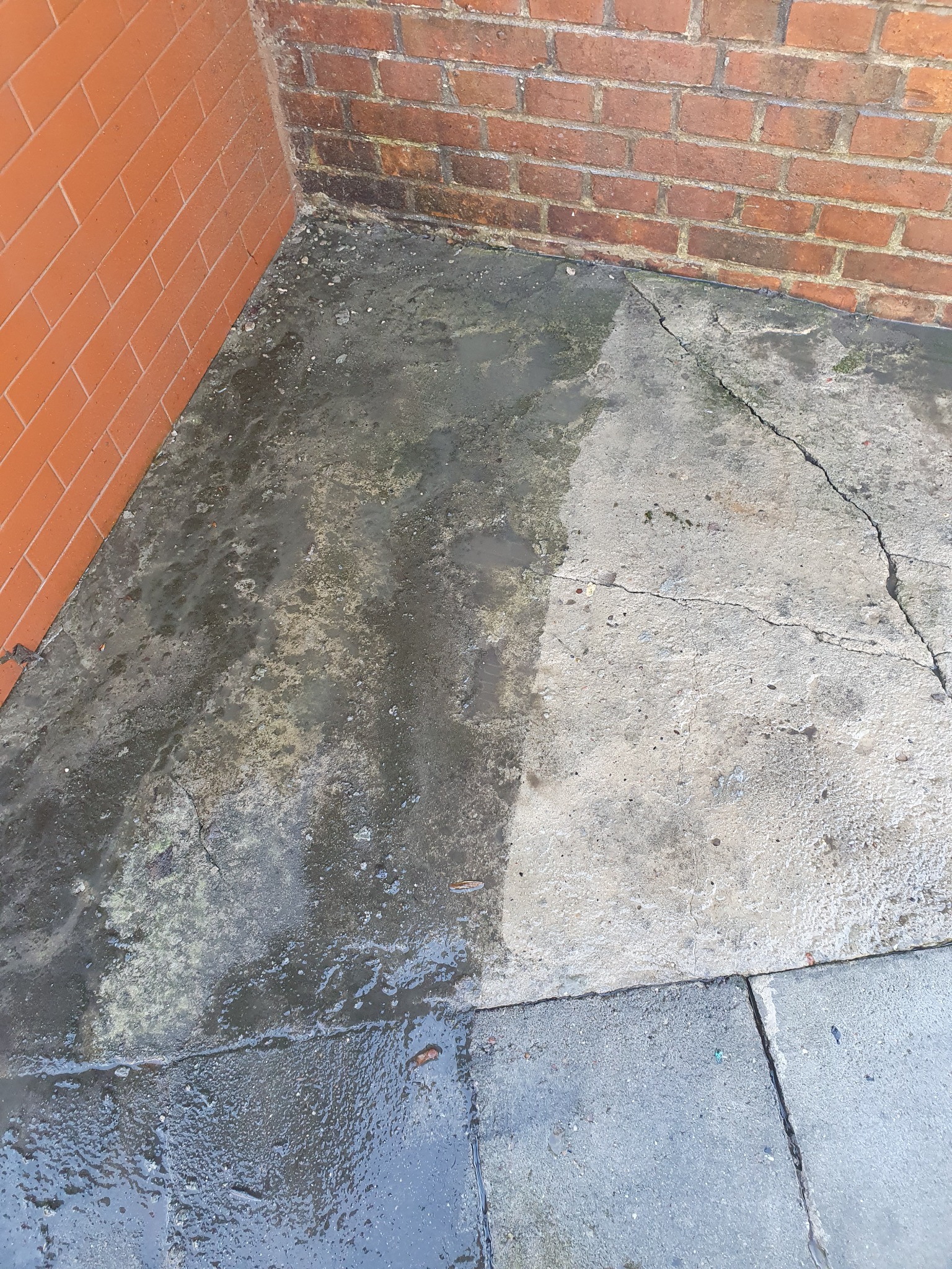 Częściowo wyczyszczona, brudna kostka brukowa przy ścianie budynku, widoczna różnica między umytą a nieumytą powierzchnią.