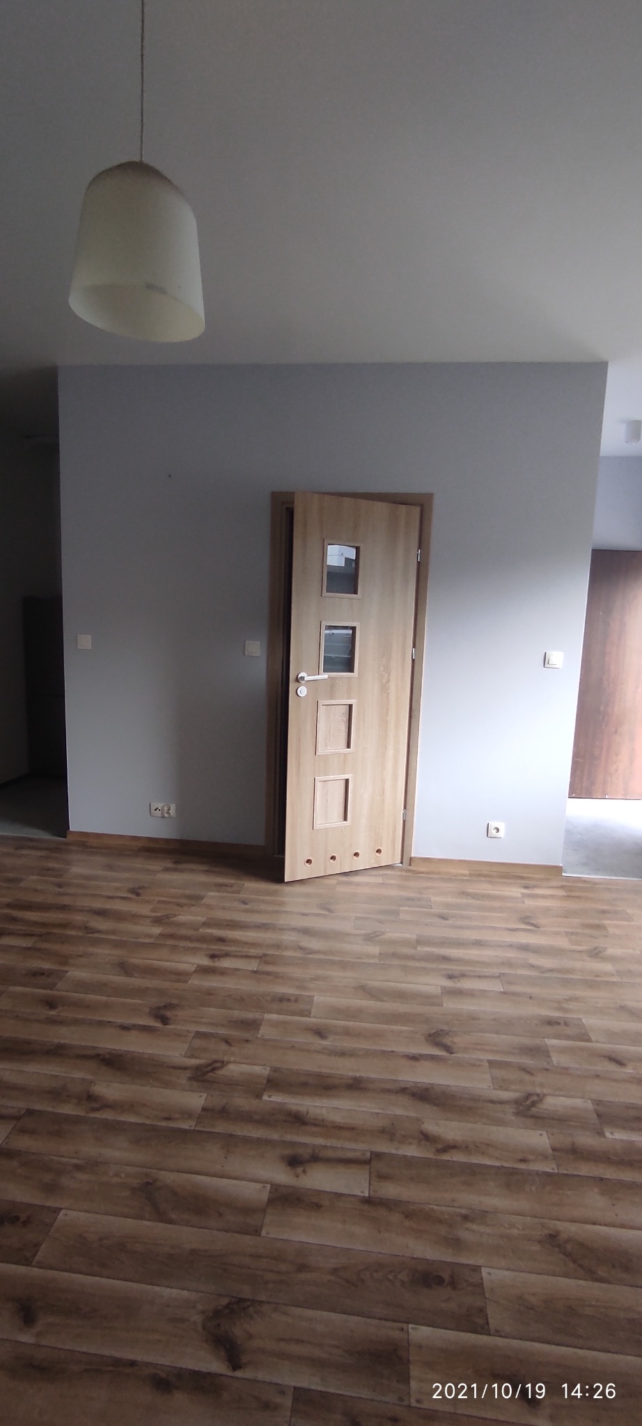 Jasne, drewniane drzwi wewnętrzne z trzema przeszkleniami, częściowo otwarte, na tle szarej ściany i podłogi imitującej drewno, widok na puste pomieszczenie z lampą sufitową.