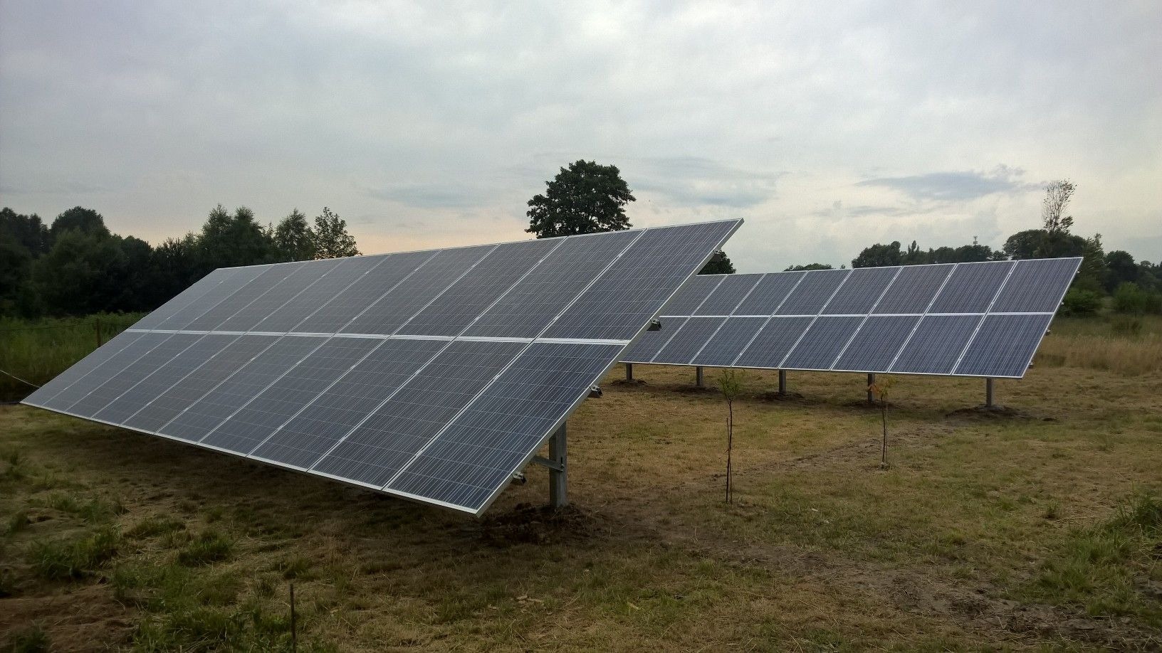 Dwa rzędy paneli słonecznych ustawione na metalowych wspornikach na zewnątrz, z młodymi drzewkami rosnącymi w pobliżu, na tle pochmurnego nieba i drzew.