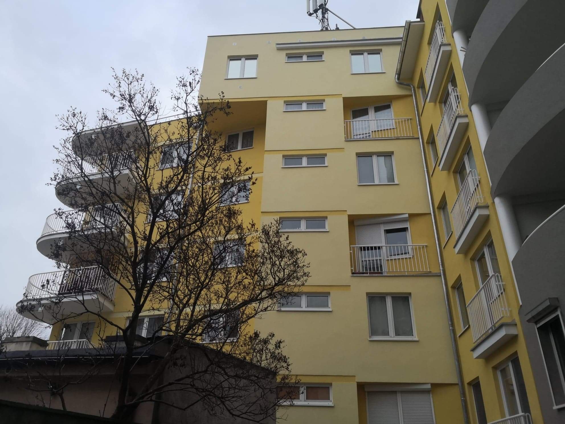 Nowoczesny, żółty budynek mieszkalny z zaokrąglonymi balkonami i anteną na dachu, widziany z dołu przez nagie gałęzie drzewa.