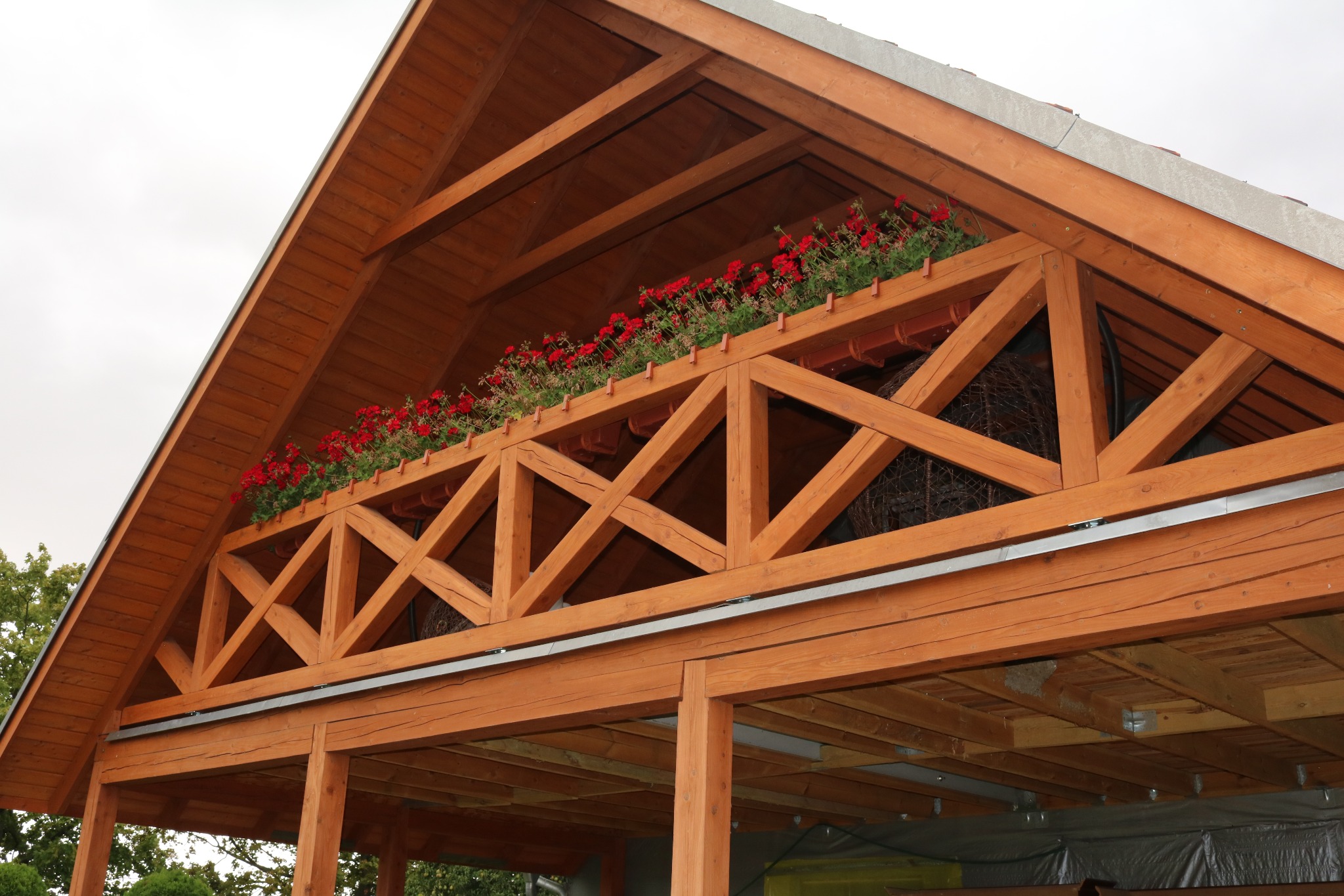 Konstrukcja drewnianej altany z czerwonymi kwiatami w donicach umieszczonymi na górnej belce, widok od dołu na drewniany szkielet dachu.
