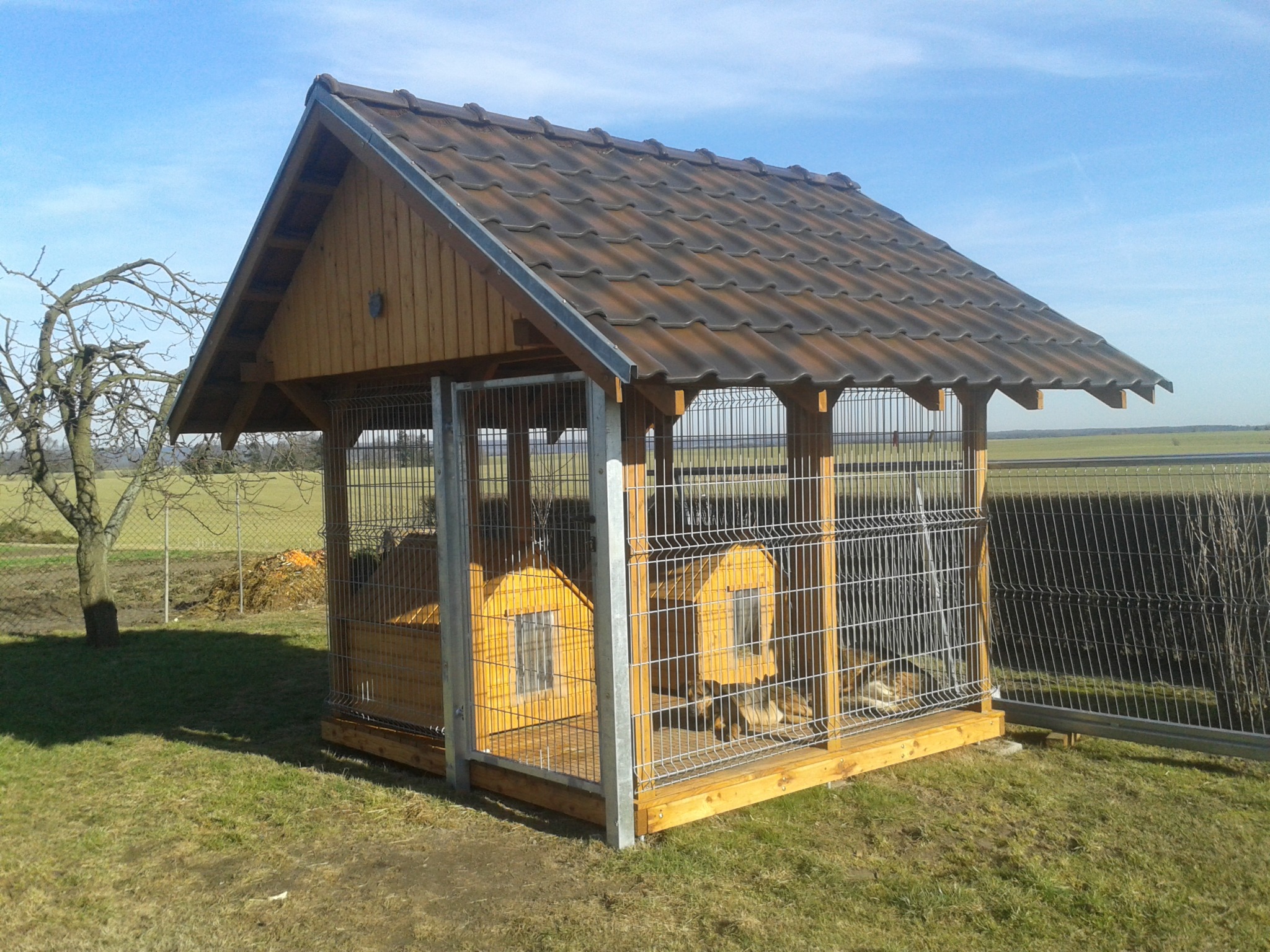 Zewnętrzna drewniana konstrukcja przypominająca altanę z metalową siatką, zawierająca dwie budy dla psów z małymi okienkami, na trawiastym terenie.