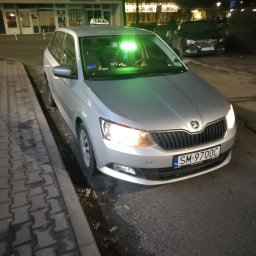 P.P.H.U. MARIO Sławomir Grygierzec - Przewóz Osób Busem Bieruń