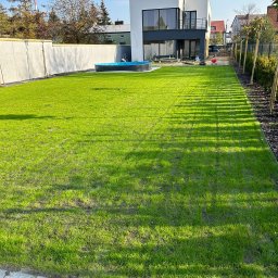 SIŁA W OGRODZIE SPÓŁKA Z OGRANICZONĄ ODPOWIEDZIALNOŚCIĄ - Świeżo założony trawnik z rolki przed nowoczesnym domem, widok z poziomu gruntu. W tle basen i rząd młodych drzewek. Słoneczny dzień.
