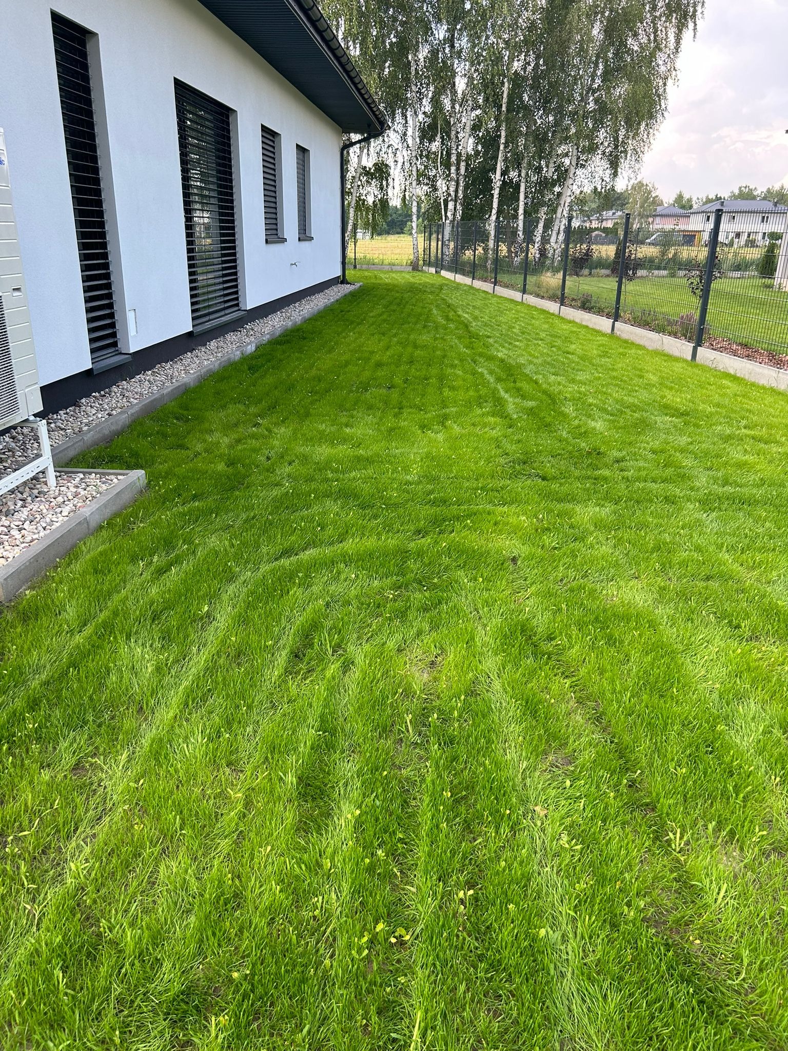 Zadbany trawnik po koszeniu w Warszawie, z widocznymi pasami, przylegający do nowoczesnego domu z szarymi oknami i ogrodzeniem z siatki.