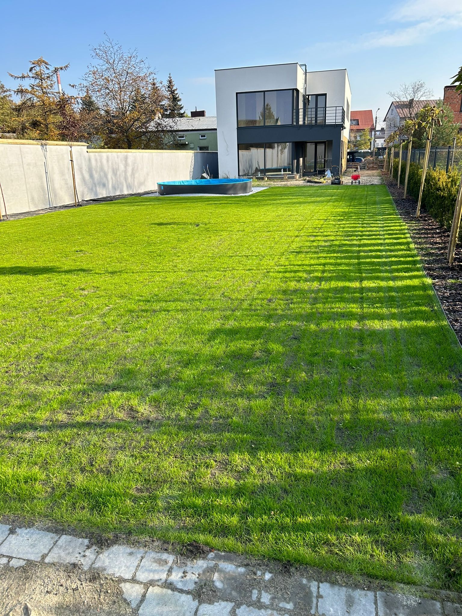 Świeżo założony trawnik z rolki przed nowoczesnym domem, widok z poziomu gruntu. W tle basen i rząd młodych drzewek. Słoneczny dzień.