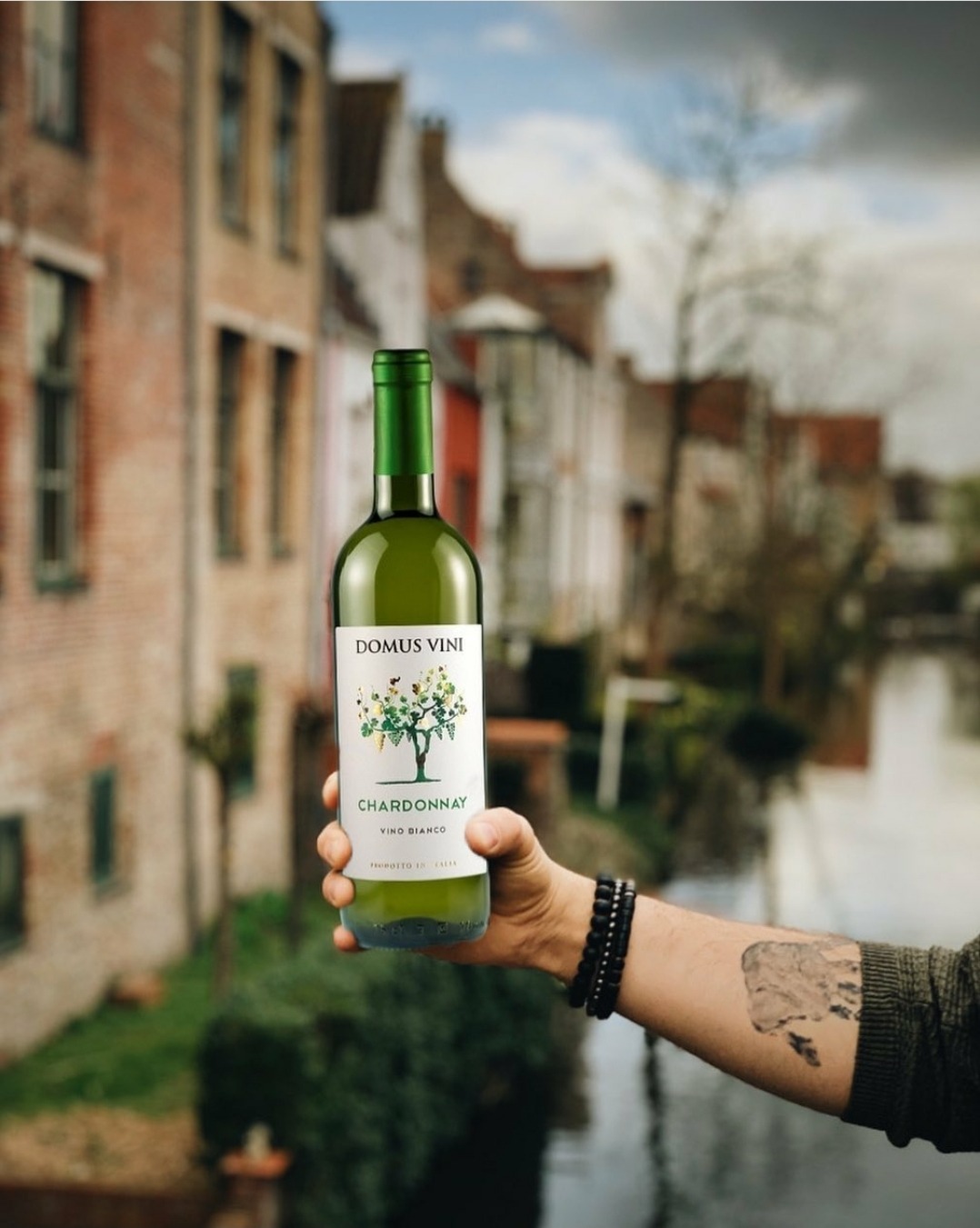 Butelka białego wina Chardonnay marki Domus Vini prezentowana w Warszawie na tle budynków z czerwonej cegły i kanału wodnego, trzymana w dłoni z tatuażem i czarną bransoletką.