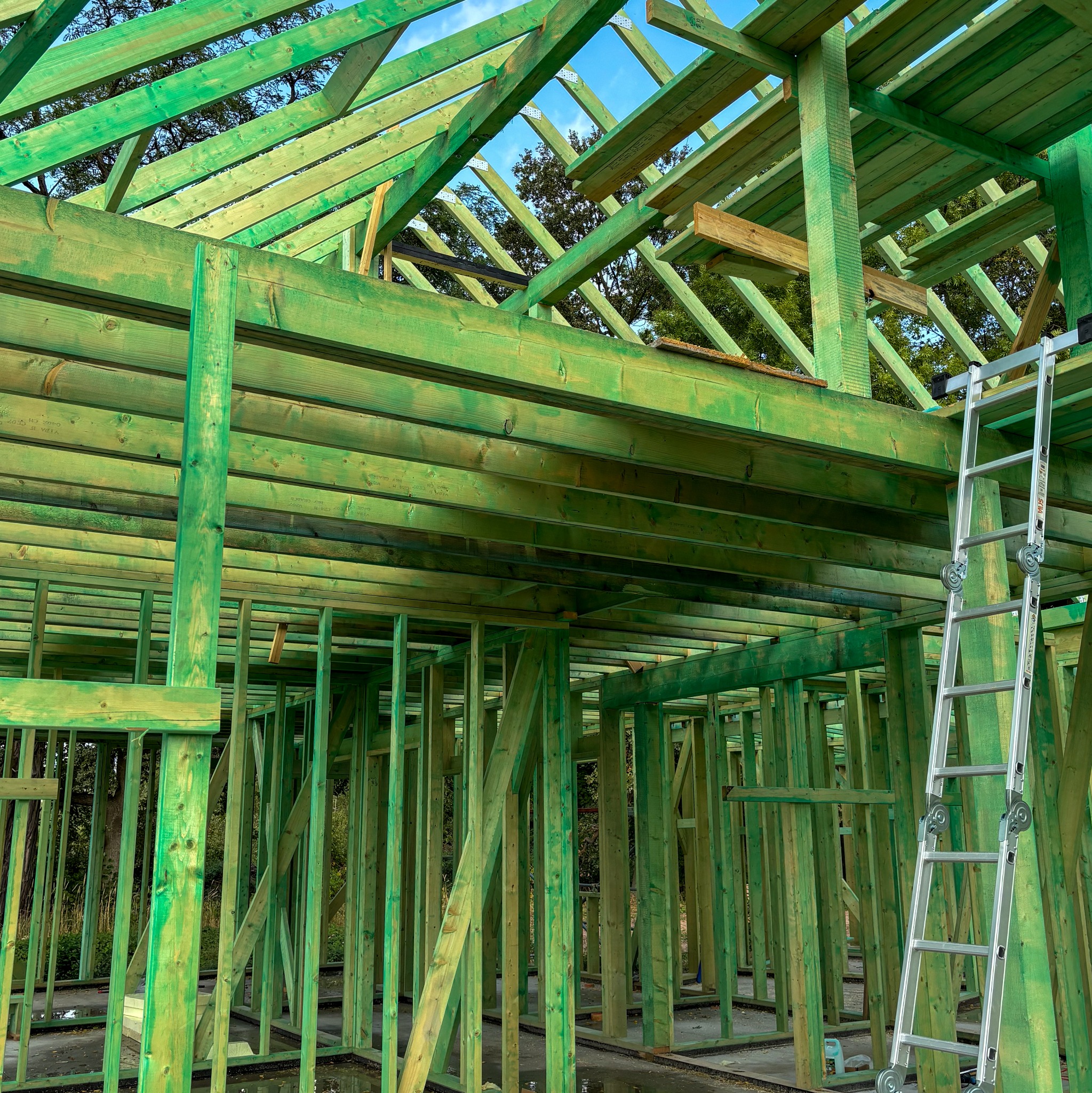 Surowy szkielet domu w trakcie budowy, drewniane elementy konstrukcyjne impregnowane na zielono, aluminiowa drabina oparta o ścianę, widok z dołu na konstrukcję dachu.