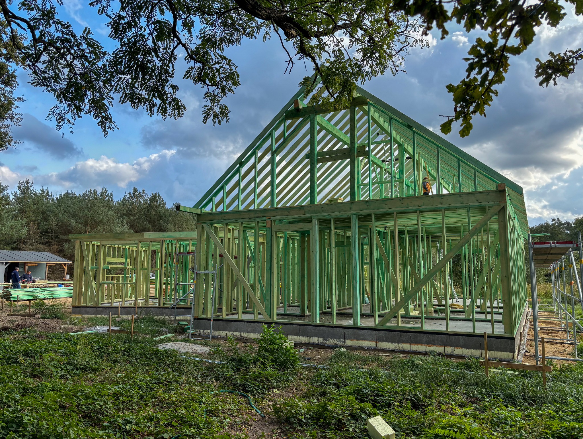 Konstrukcja szkieletowa domu w trakcie budowy, widoczne zielone drewniane elementy, fundamenty, rusztowanie, las w tle oraz pracownik na górze konstrukcji.