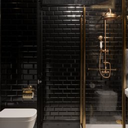 Guest bathroom and laundry
Project: Classic For Four
Location: Austria, Vienna
Floor area: 3m²

While gold and black might not be a chart-topping duo in the living room it sure is a showstopper in the contemporary bathroom that turns heads and steals the s