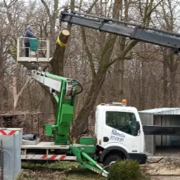 Pracownik w podnośniku koszowym przycina drzewo na wysokości, widoczny dźwig i samochód z logo firmy na tle drzew bez liści.