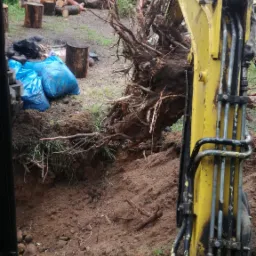 Wyrywanie karp i korzeni