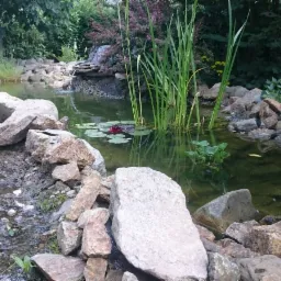 Oczko wodne z kamieniami różnej wielkości, roślinnością wodną i kaskadą, otoczone bujną zielenią ogrodową.