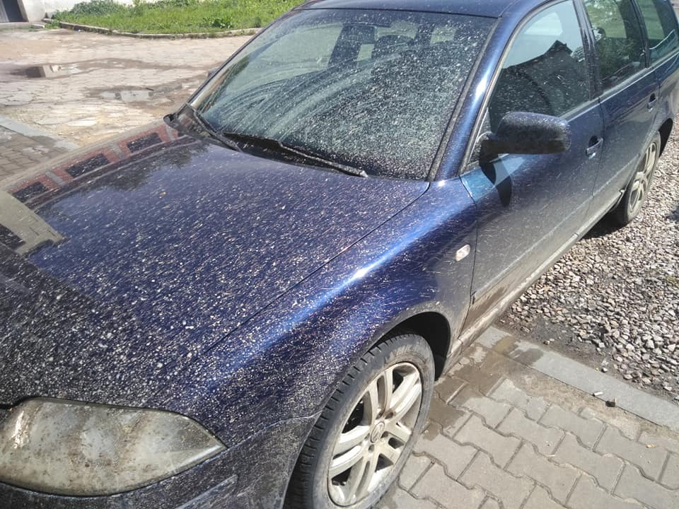 Samochód Przed myciem ręcznym z użyciem aktywnej piany