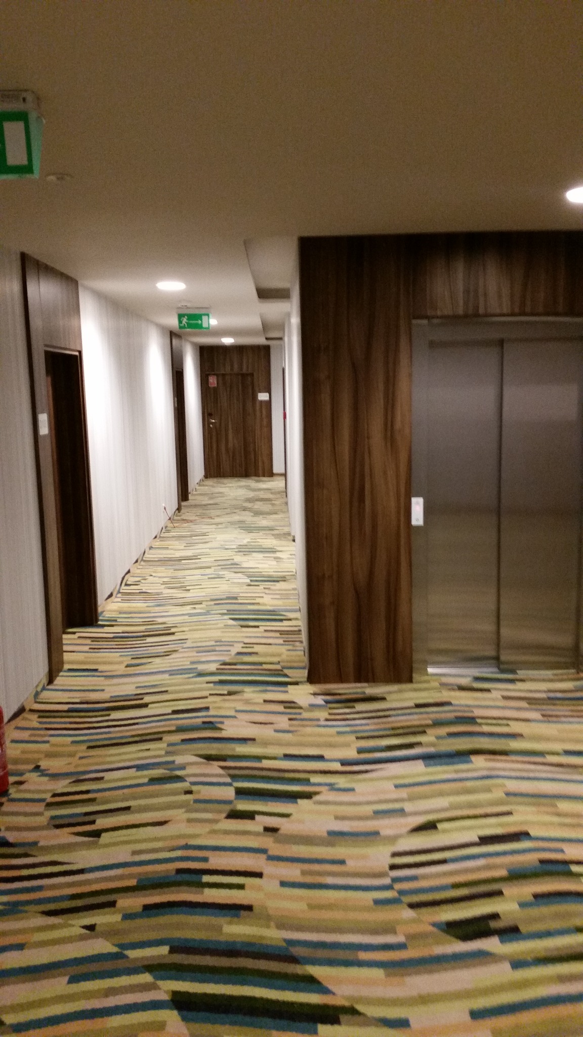 Długi korytarz w budynku biurowym lub hotelu z wzorzystą wykładziną, drewnianymi panelami ściennymi i metalowymi drzwiami windy.