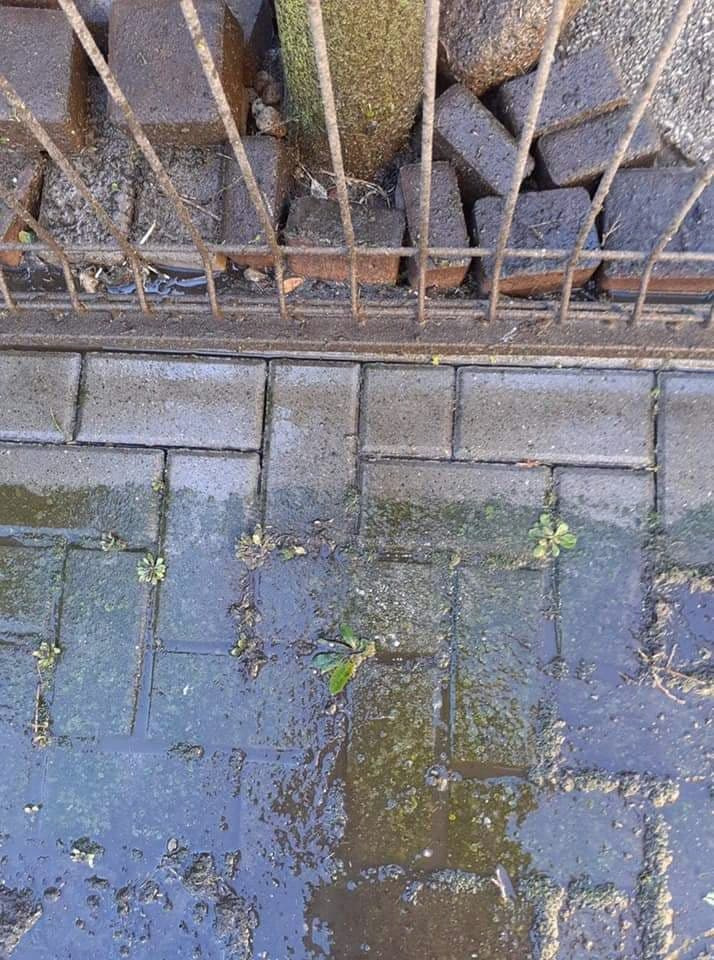 Mokre, brudne płytki chodnikowe w Kostrzynie, z niewielkimi chwastami wyrastającymi spomiędzy fug, widoczne przez metalową barierkę.