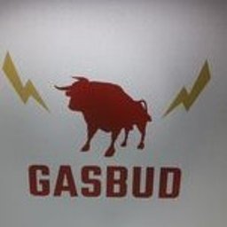 GASBUD-Instalacje elektryczne - Automatyka Bram Łódź