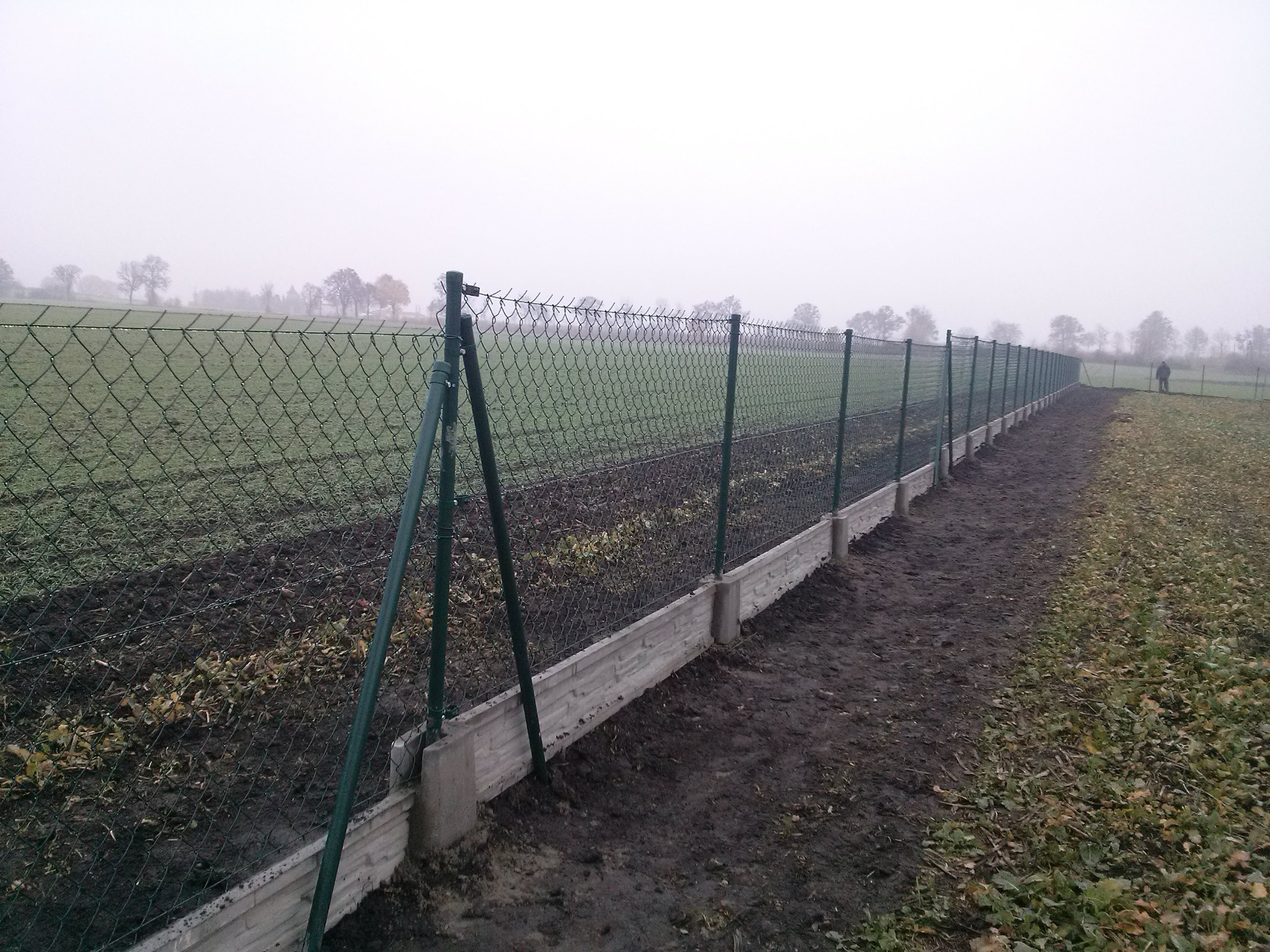 Długi, zielony płot z siatki na betonowej podmurówce, rozciągający się wzdłuż pola w mglisty dzień, z sylwetką osoby w oddali.