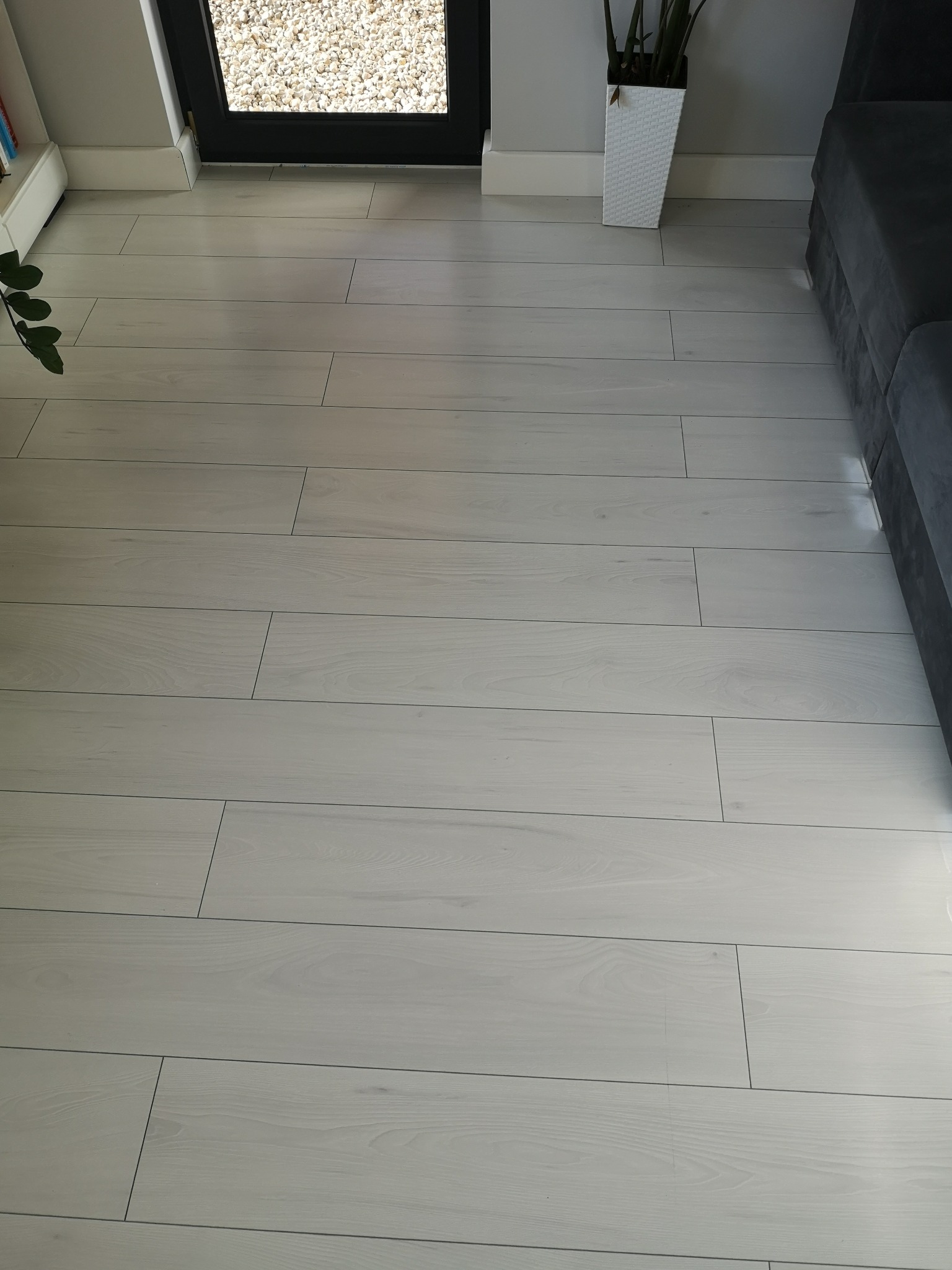 Jasne, drewnopodobne panele podłogowe ułożone wzdłuż, z widocznymi fugami, uzupełnione przypodłogowymi listwami i fragmentem szarej sofy.