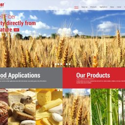 Projekt graficzny strony internetowej
Wytwarzanie produktów przemiału zbóż