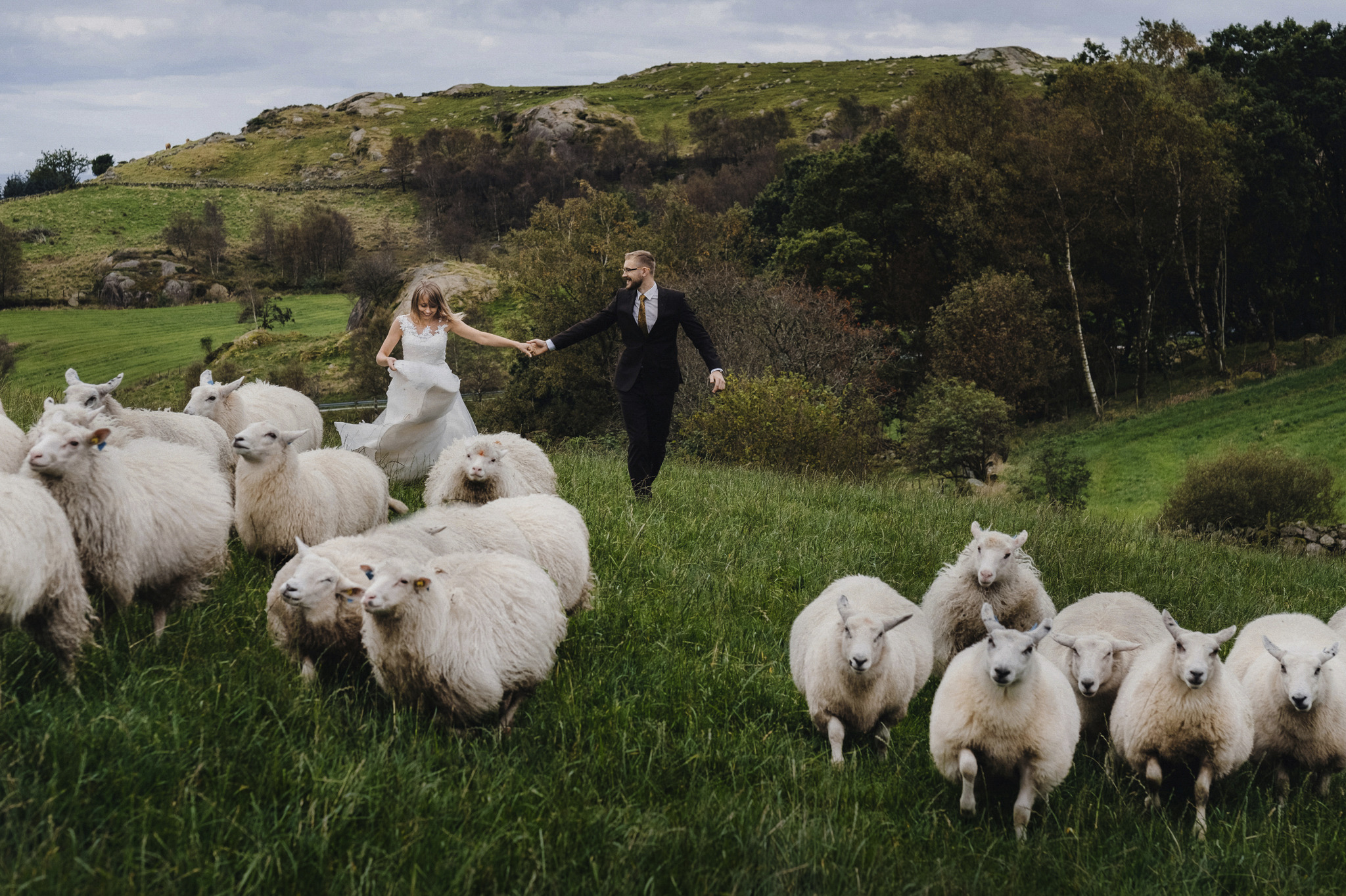 Para młoda trzymająca się za ręce spaceruje po zielonej łące z owcami na tle wzgórz