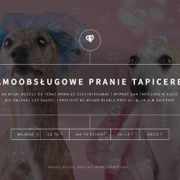 Tworzenie stron internetowych Poznań 1