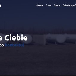 Tworzenie stron internetowych Poznań 3