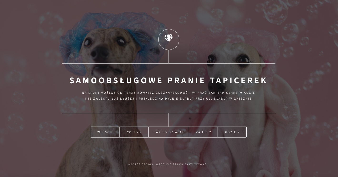 Dwa charty w czepkach kąpielowych, jeden otulony różowym ręcznikiem, na tle strony internetowej myjni samochodowej z tekstem 'SAMOOBSŁUGOWE PRANIE TAPICEREK'.