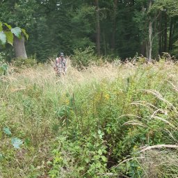 Pielęgnacja ogrodów Inowrocław 1