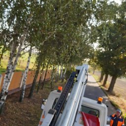 Nie Podano - Widok z podnośnika koszowego na aleję drzew, pracownik w pomarańczowym kombinezonie idzie obok pojazdu.