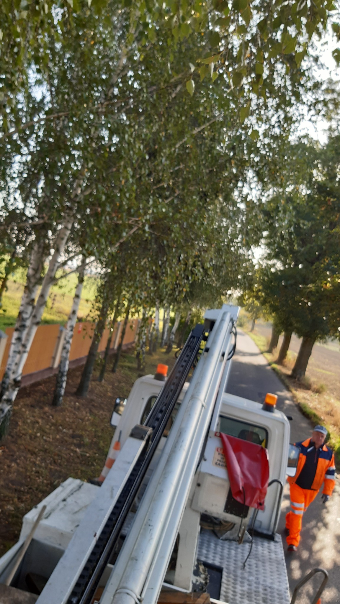 Widok z podnośnika koszowego na aleję drzew, pracownik w pomarańczowym kombinezonie idzie obok pojazdu.