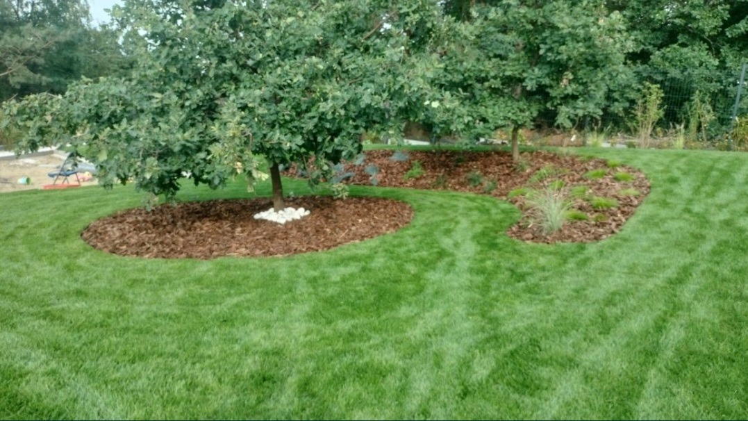 Perfekcyjnie przystrzyżony trawnik z drzewami otoczonymi korą i białymi kamieniami, tworzący estetyczny krajobraz ogrodu.