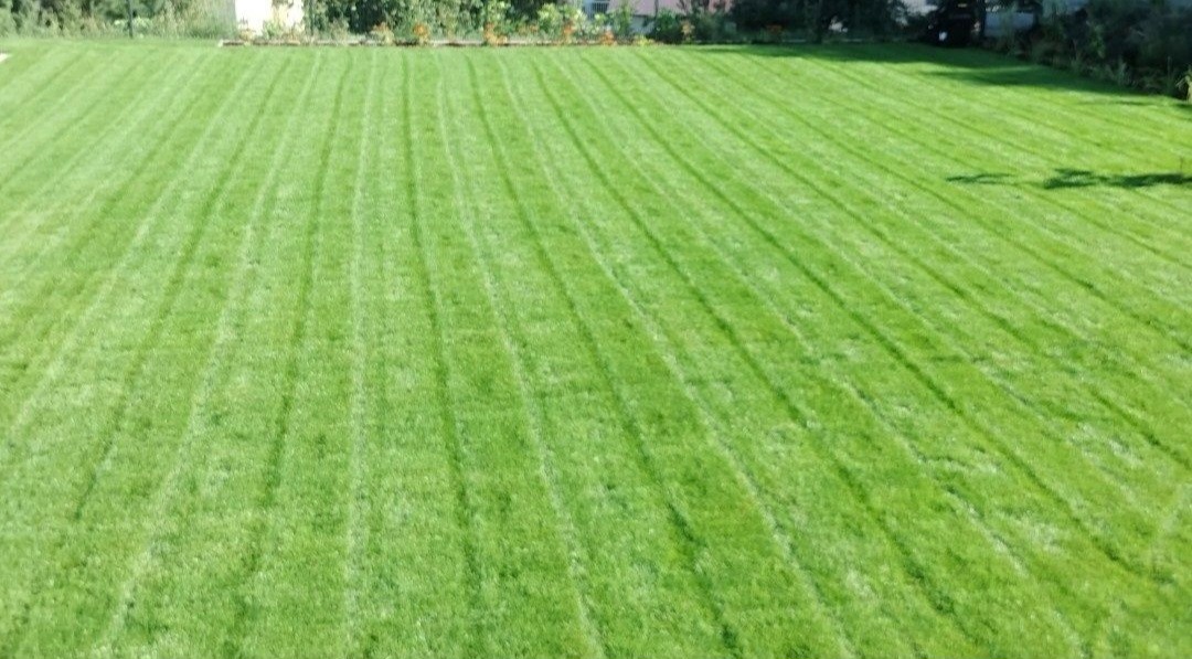 Perfekcyjnie przystrzyżony trawnik z równymi pasami, widok z góry w słoneczny dzień.